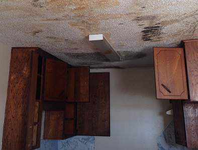 what is mold